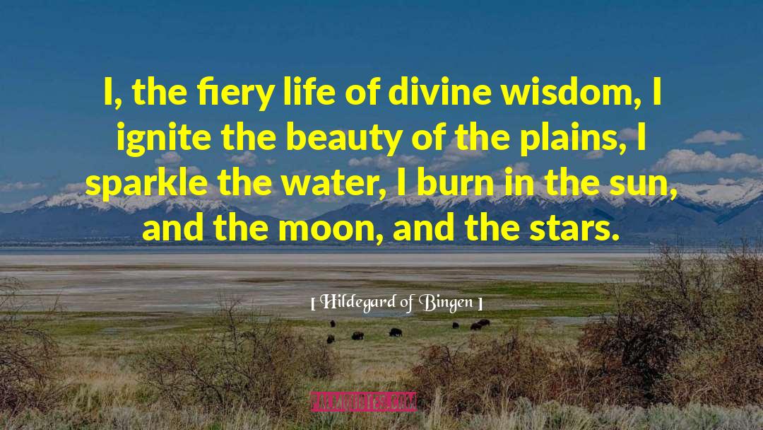 Divine Wisdom quotes by Hildegard Of Bingen