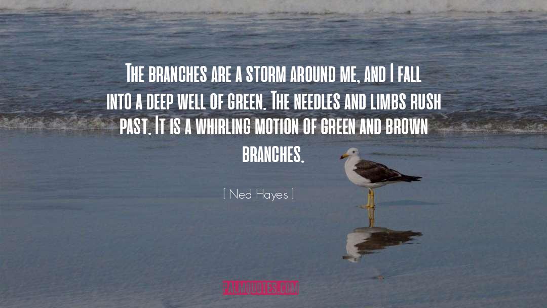 Diving Deep quotes by Ned Hayes