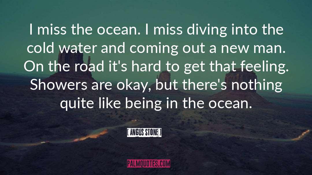 Diving quotes by Angus Stone