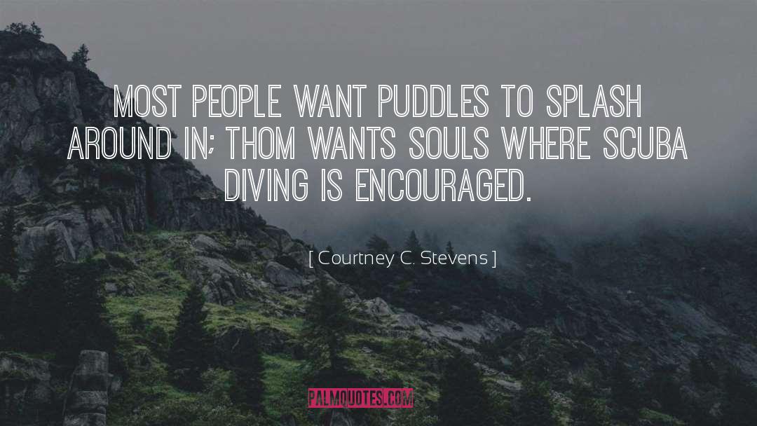 Diving quotes by Courtney C. Stevens