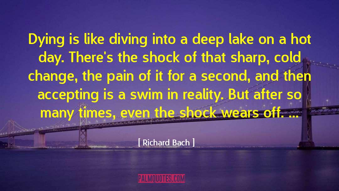 Diving quotes by Richard Bach