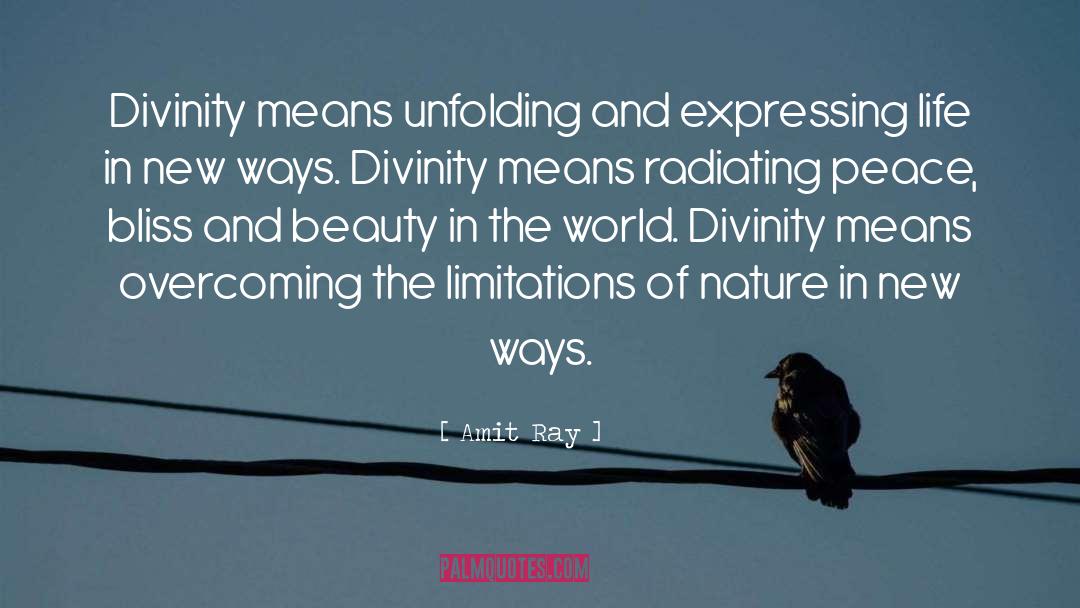 Divinity quotes by Amit Ray