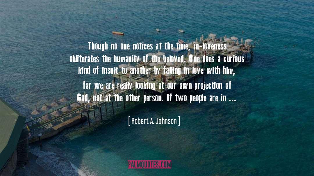 Divinity quotes by Robert A. Johnson