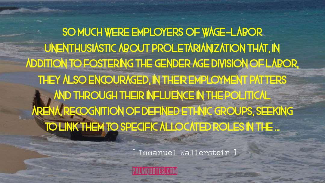 Division Of Labor quotes by Immanuel Wallerstein