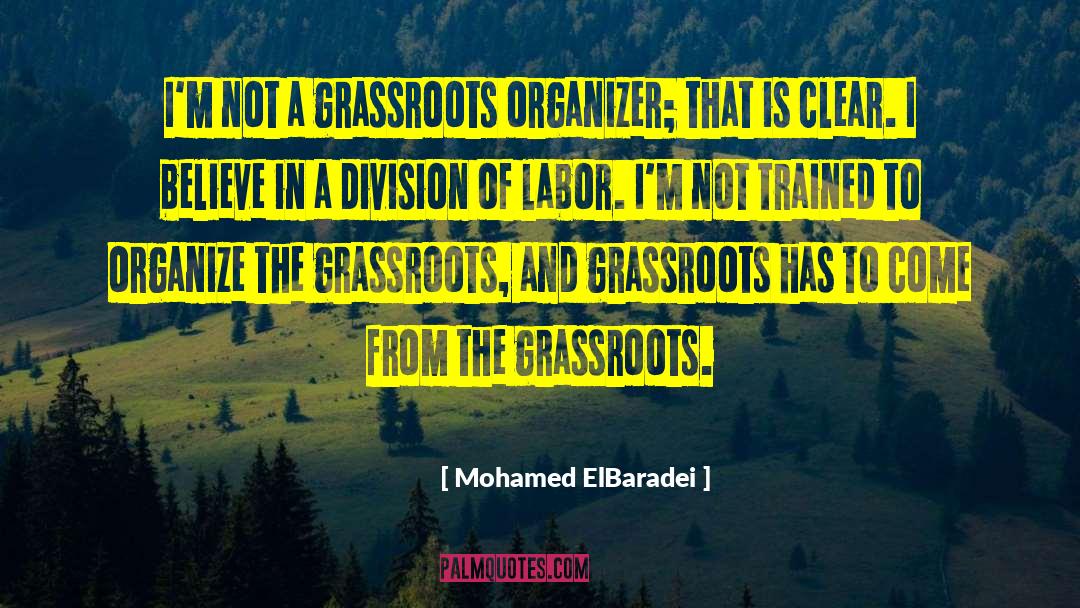 Division Of Labor quotes by Mohamed ElBaradei