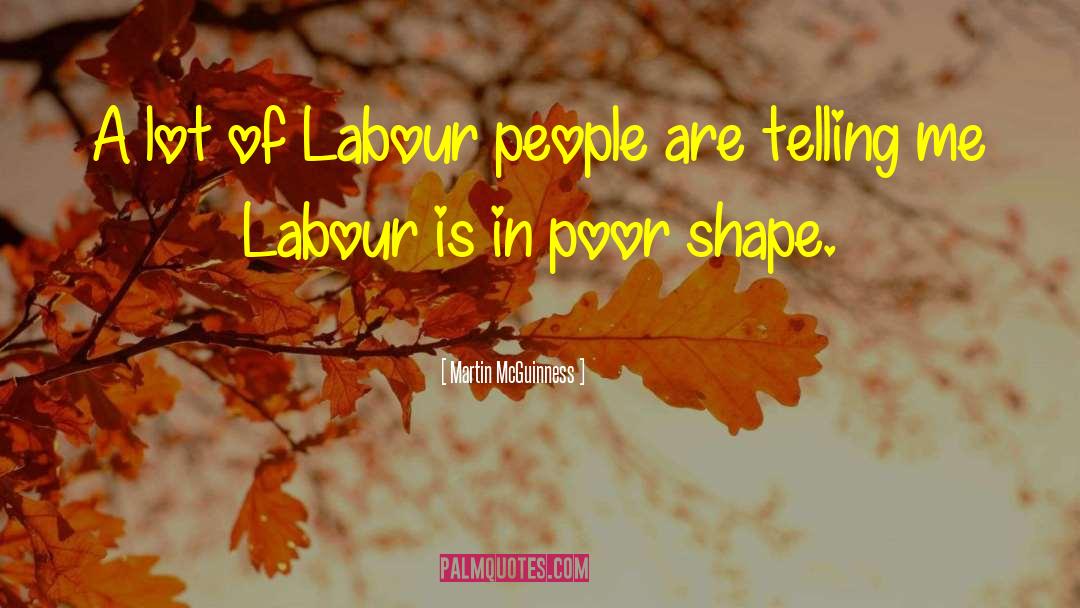 Division Of Labour quotes by Martin McGuinness