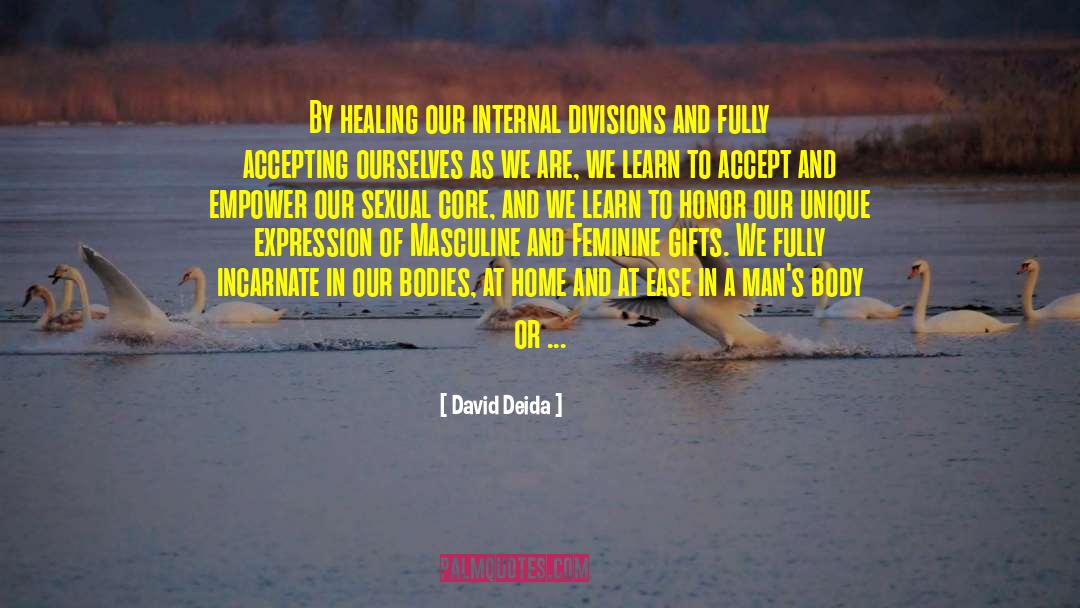 Divisions quotes by David Deida