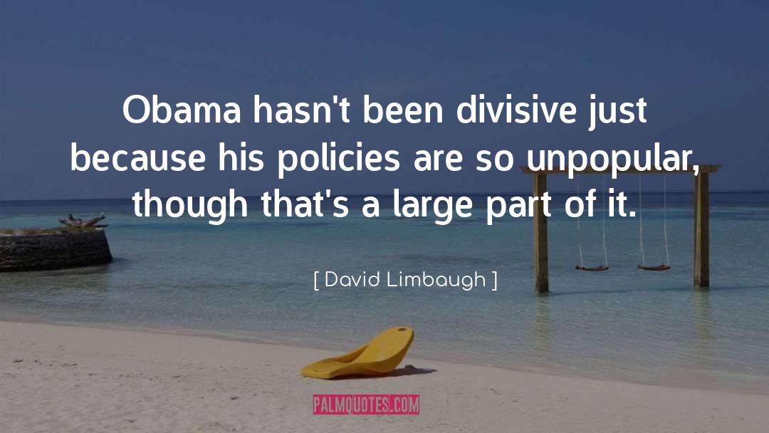 Divisive quotes by David Limbaugh