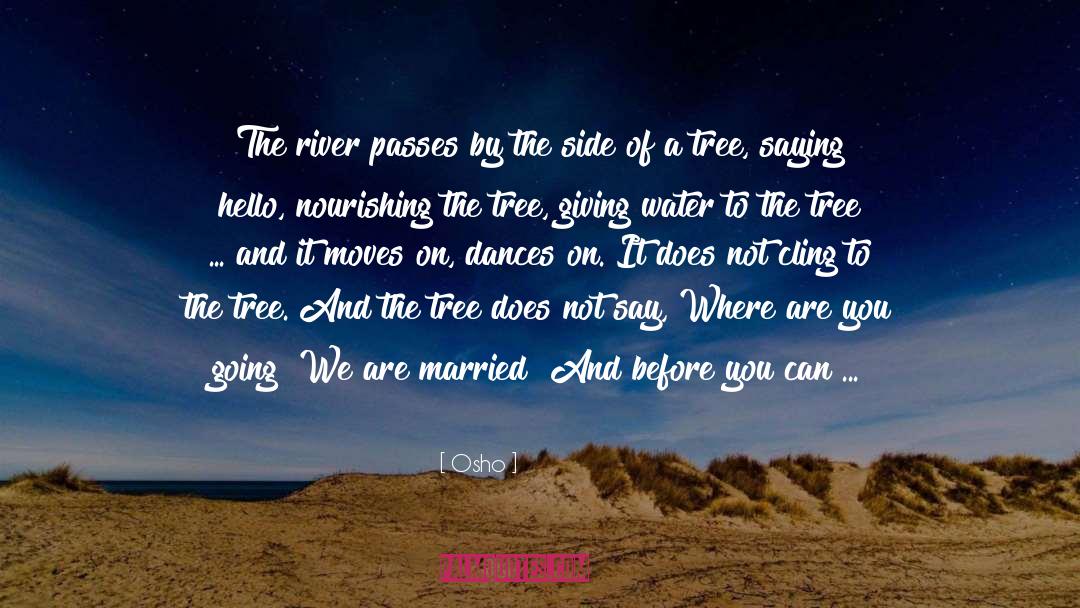 Divorce Cake quotes by Osho