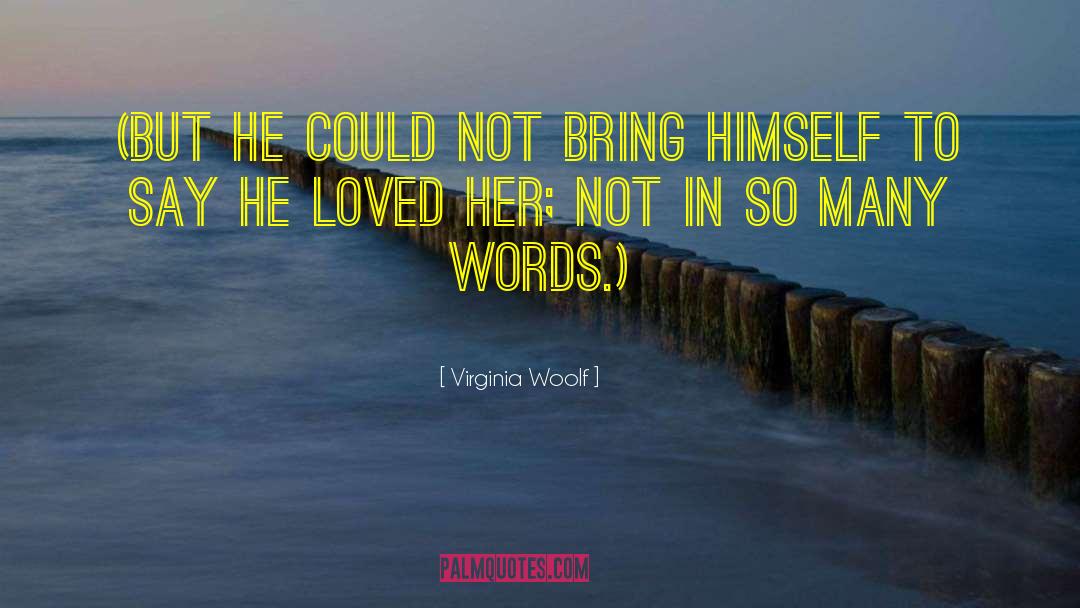 Divorce Humour quotes by Virginia Woolf