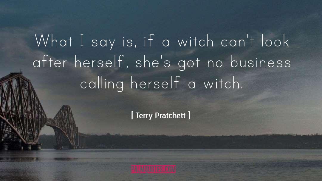 Divorce Humour quotes by Terry Pratchett