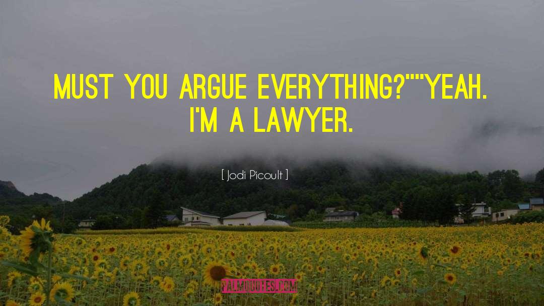 Divorce Lawyer Phoenix quotes by Jodi Picoult