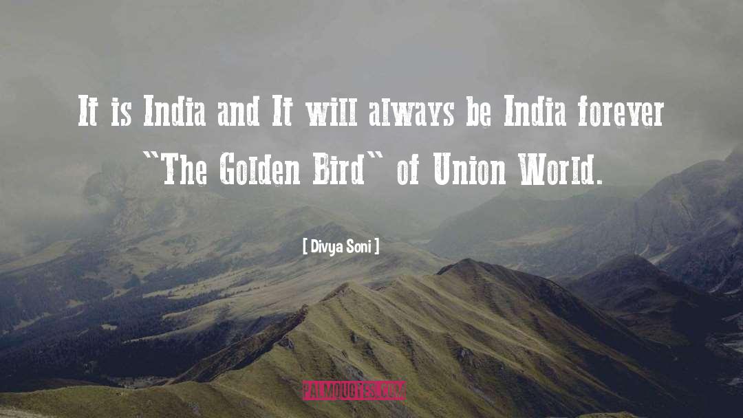 Divya Chakshu quotes by Divya Soni