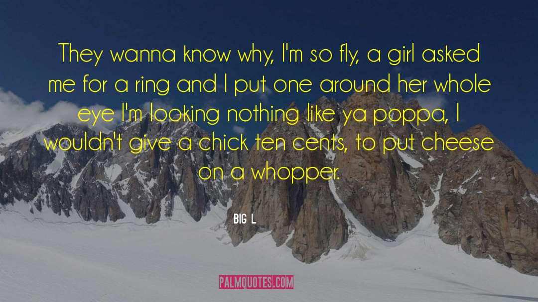 Dixie Chicks quotes by Big L