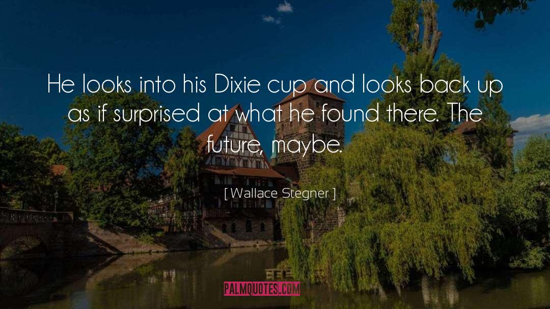 Dixie quotes by Wallace Stegner