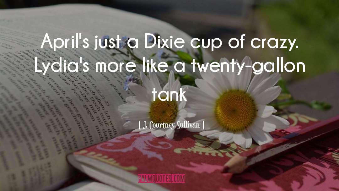 Dixie quotes by J. Courtney Sullivan