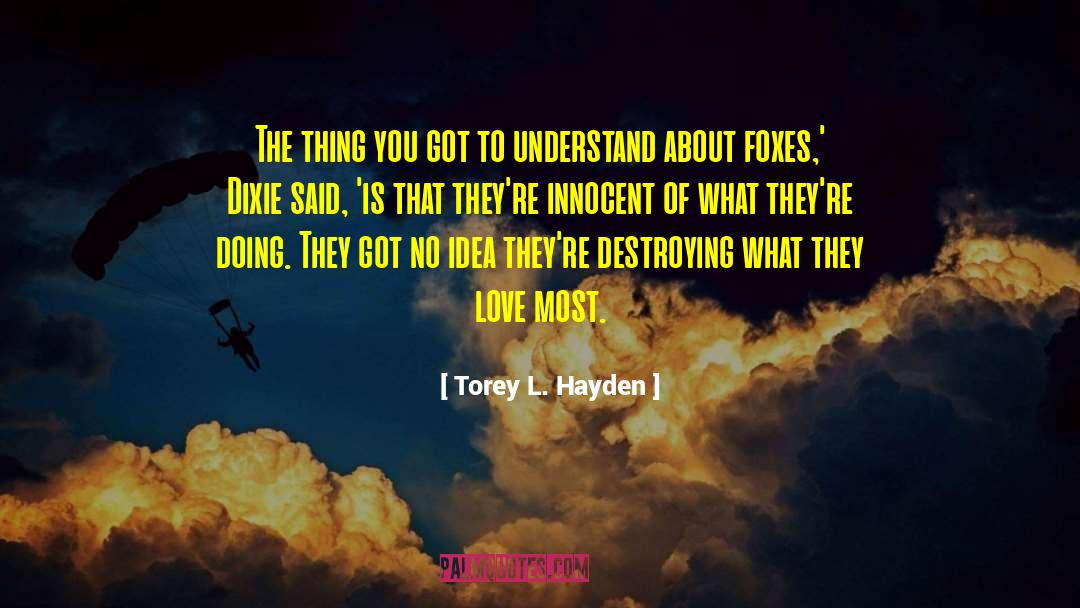 Dixie quotes by Torey L. Hayden