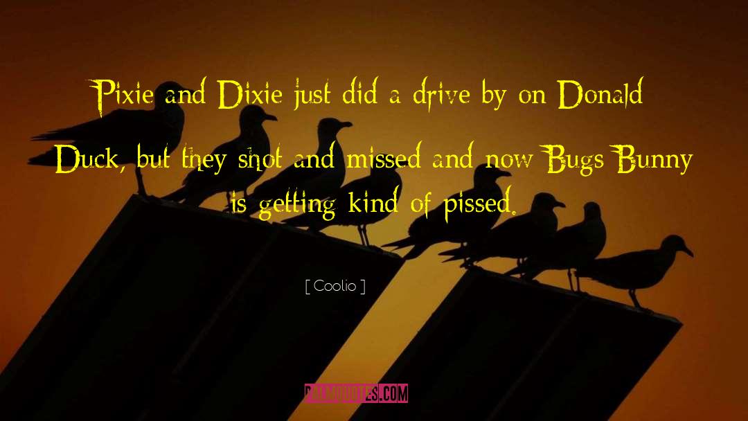 Dixie quotes by Coolio
