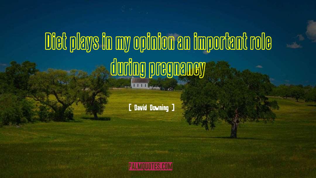 Dizziness During Pregnancy quotes by David Downing