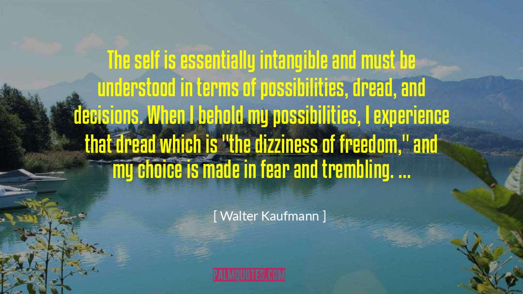 Dizziness quotes by Walter Kaufmann