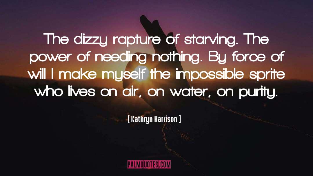 Dizzy quotes by Kathryn Harrison