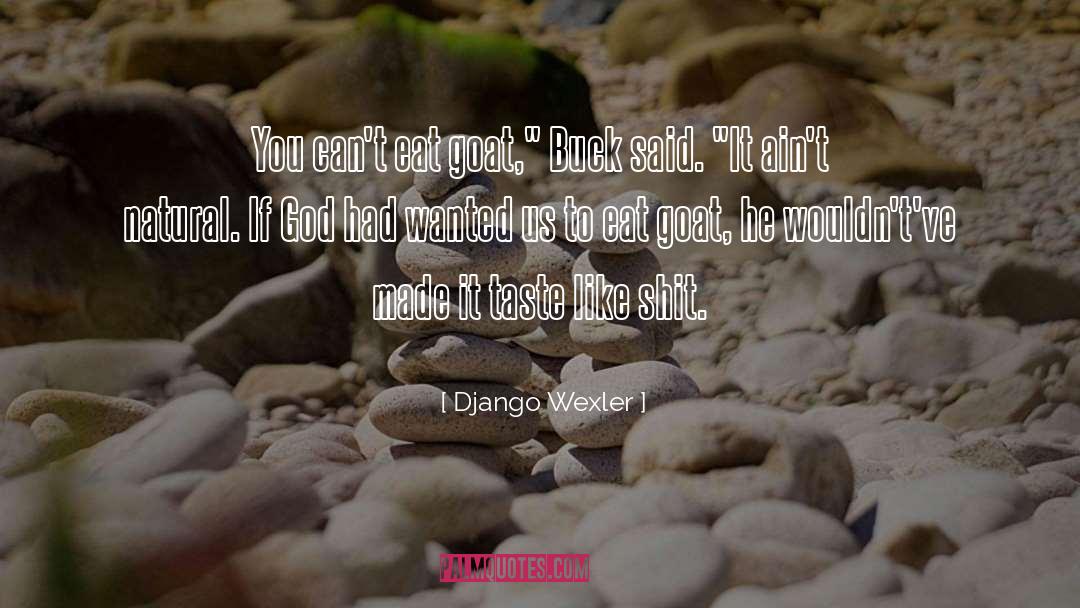 Django quotes by Django Wexler