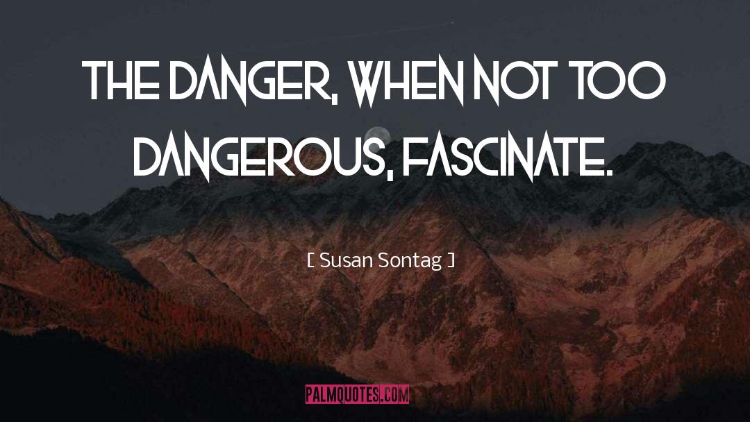 Djimi Danger quotes by Susan Sontag