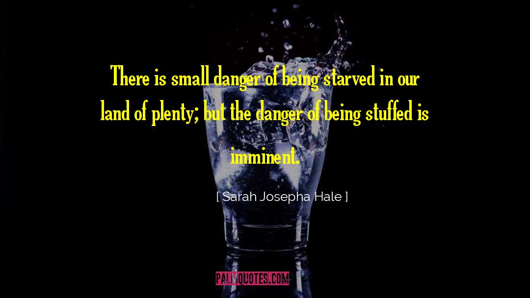 Djimi Danger quotes by Sarah Josepha Hale