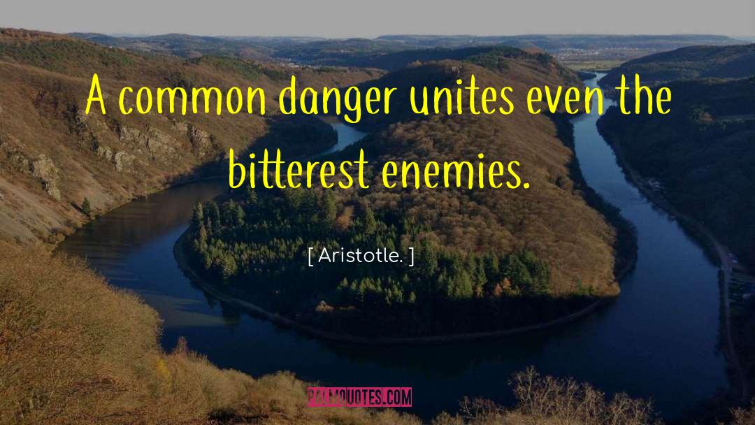 Djimi Danger quotes by Aristotle.