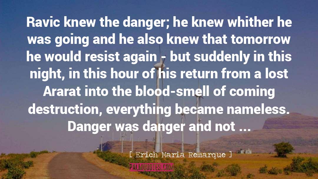 Djimi Danger quotes by Erich Maria Remarque