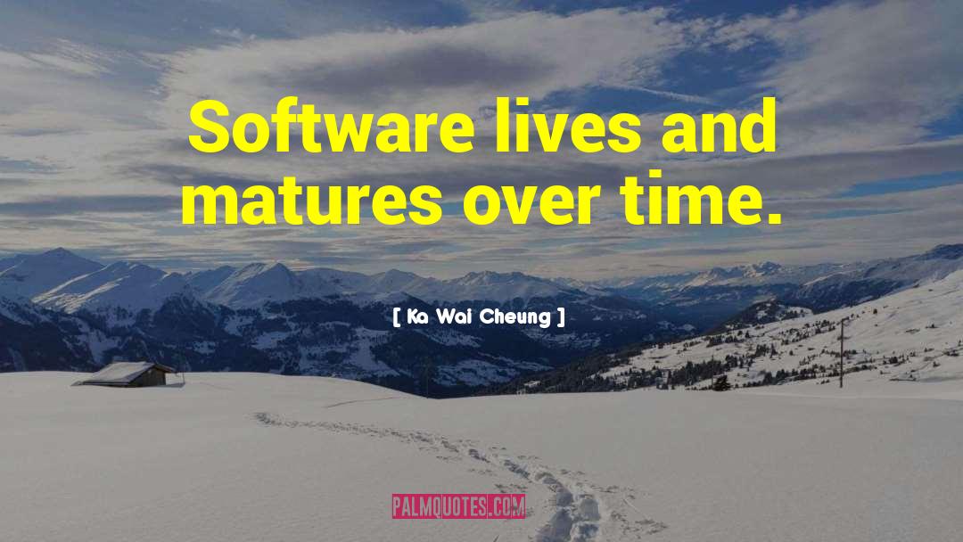 Djing Software quotes by Ka Wai Cheung