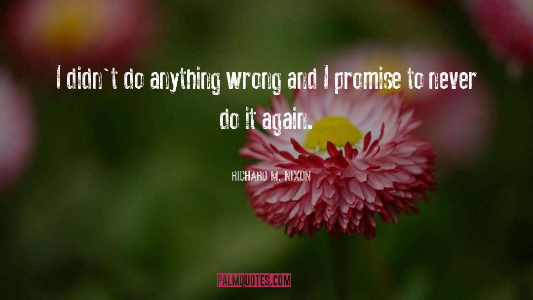 Do Anything quotes by Richard M. Nixon