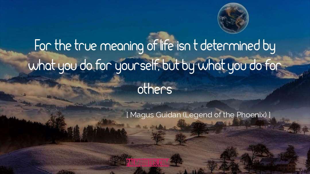 Do For Others quotes by Magus Guidan (Legend Of The Phoenix)