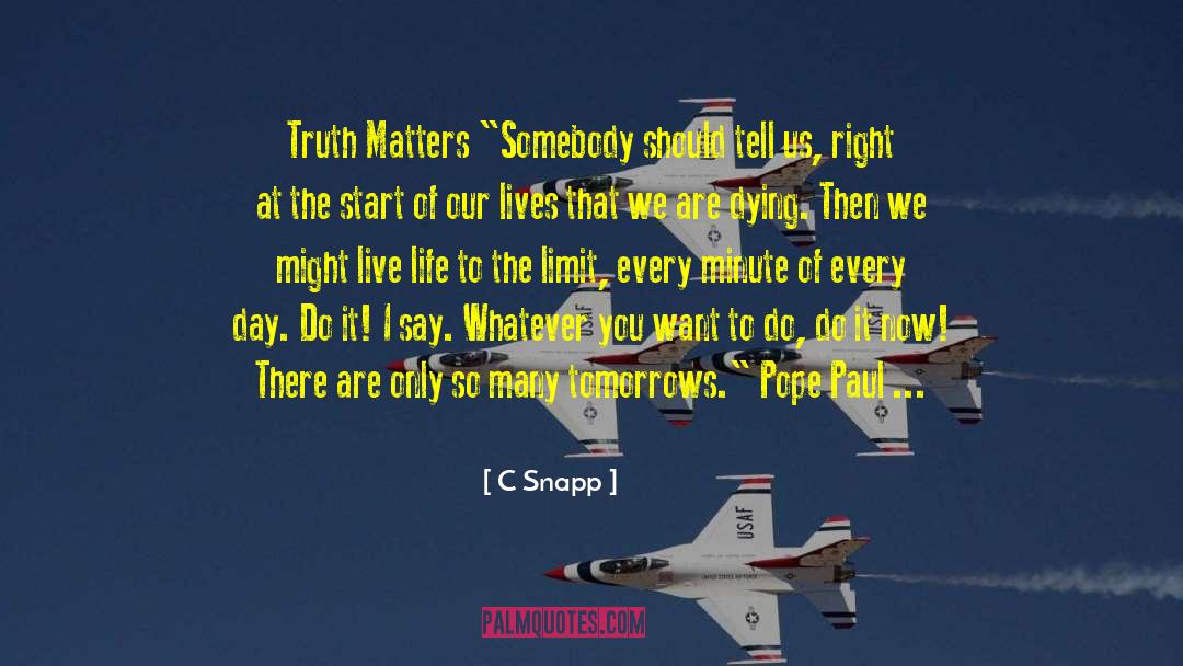 Do It Now quotes by C Snapp