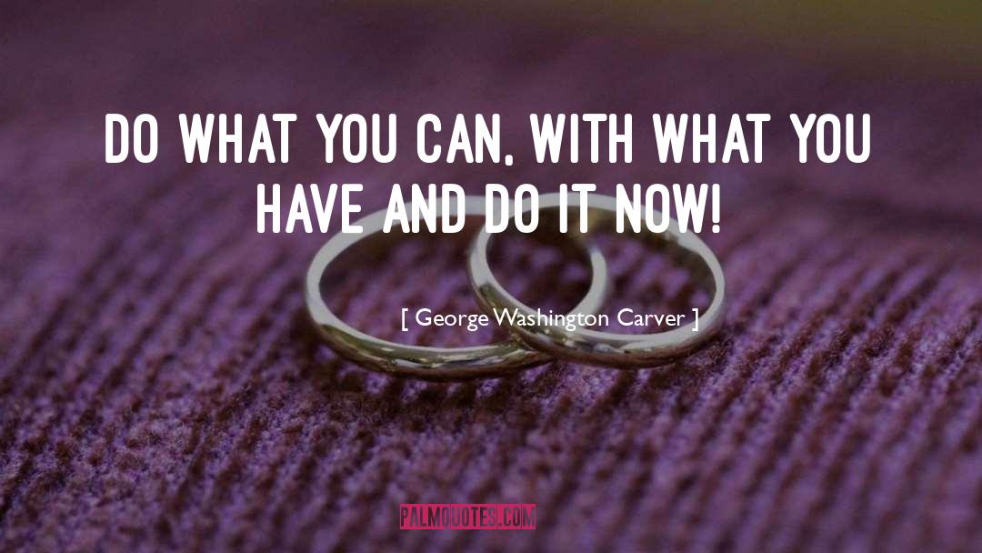 Do It Now quotes by George Washington Carver