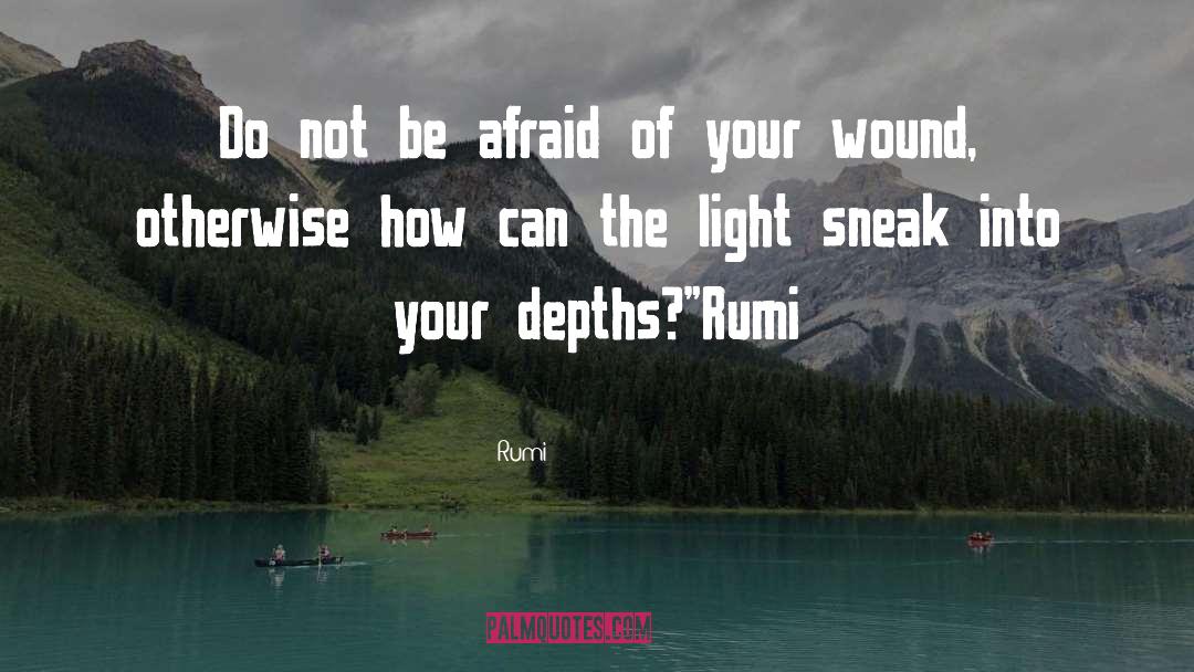 Do Not Be Afraid quotes by Rumi