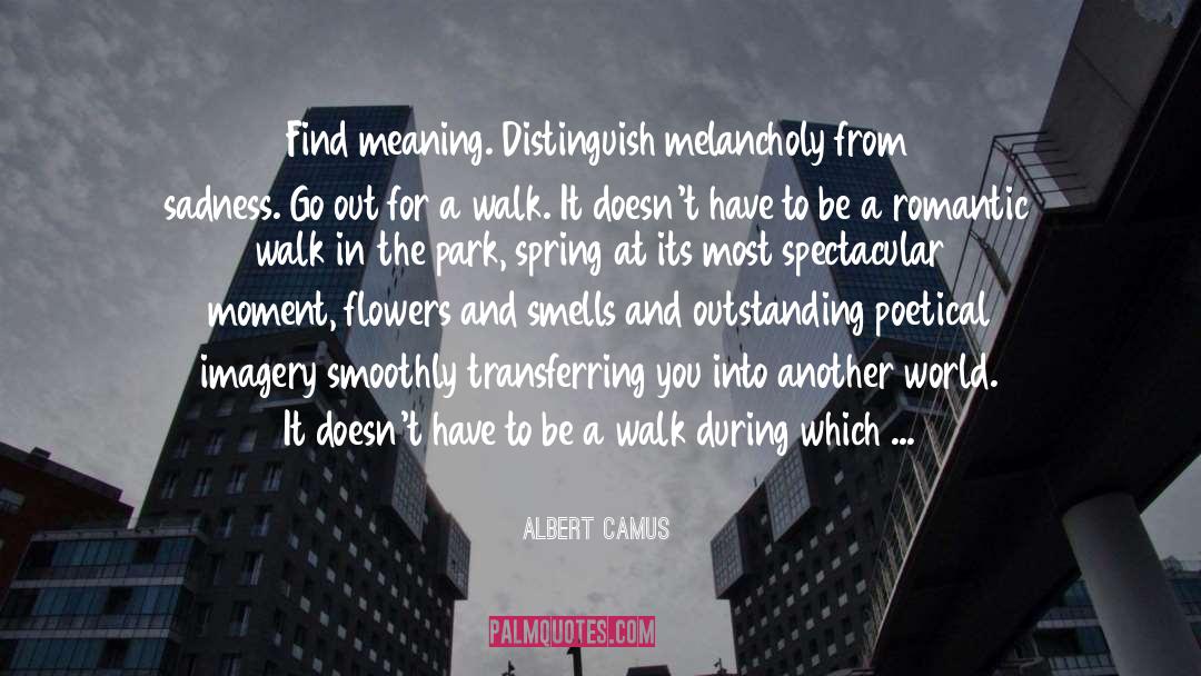 Do Not Be Afraid quotes by Albert Camus