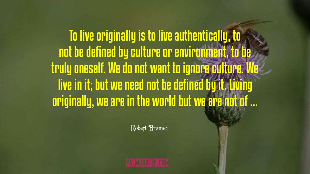 Do Not Be Defined By Possessions quotes by Robert Brumet