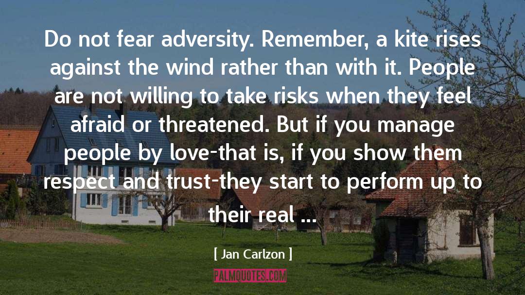 Do Not Fear Adversity quotes by Jan Carlzon