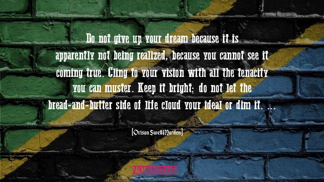 Do Not Give Up quotes by Orison Swett Marden