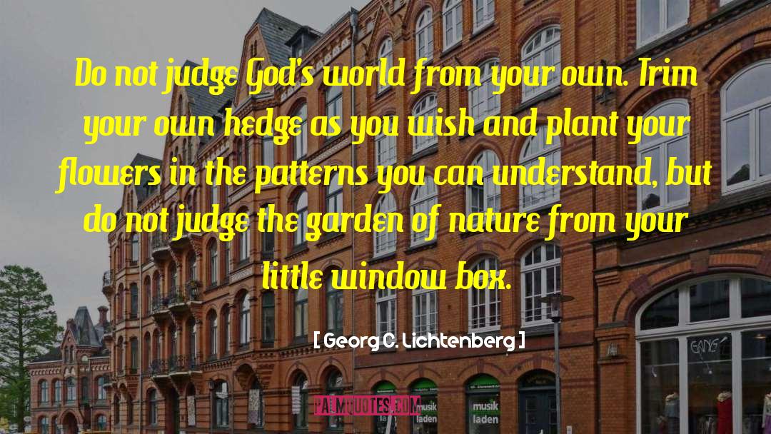 Do Not Judge quotes by Georg C. Lichtenberg