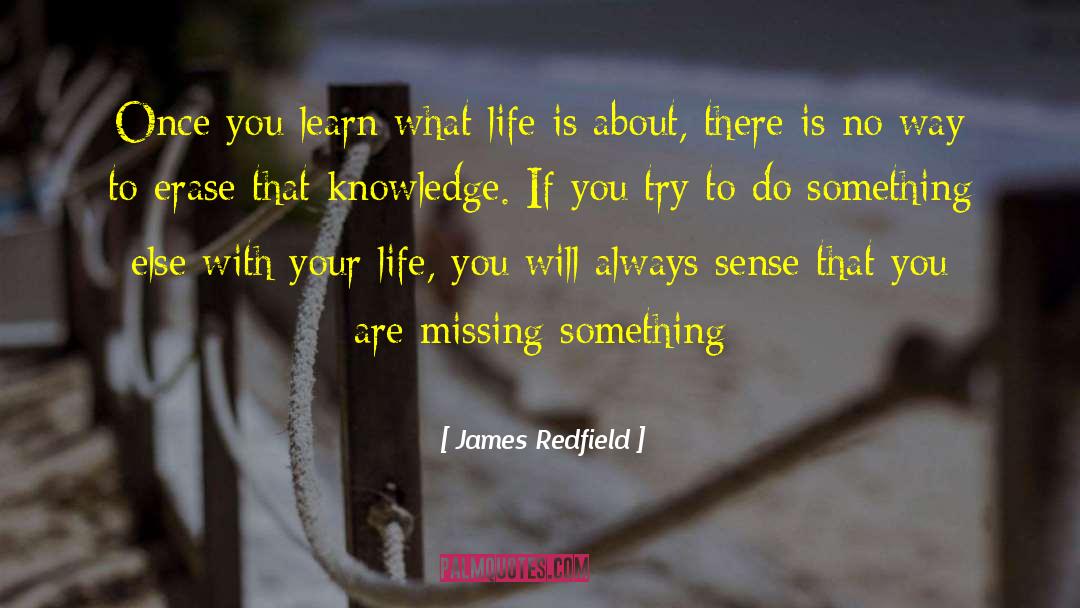 Do Something Else quotes by James Redfield