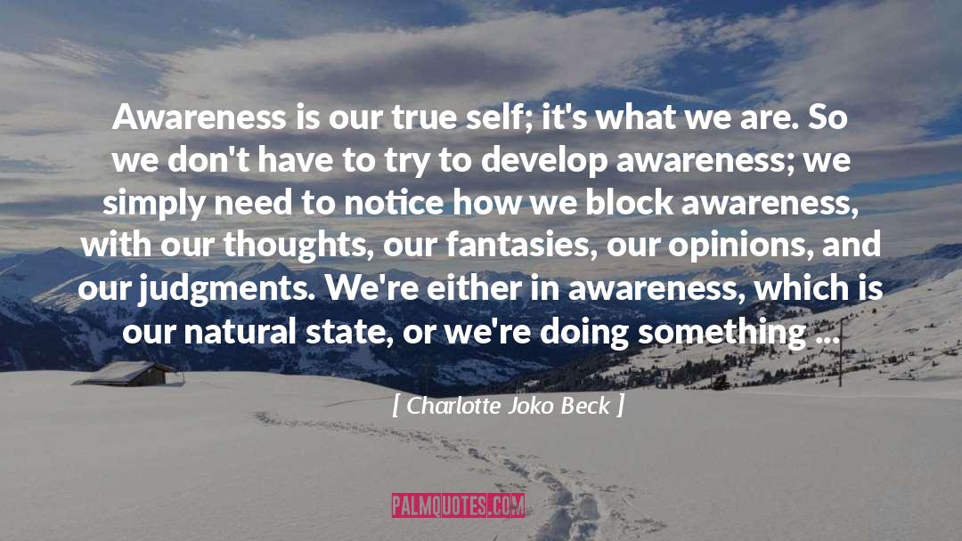 Do Something Else quotes by Charlotte Joko Beck