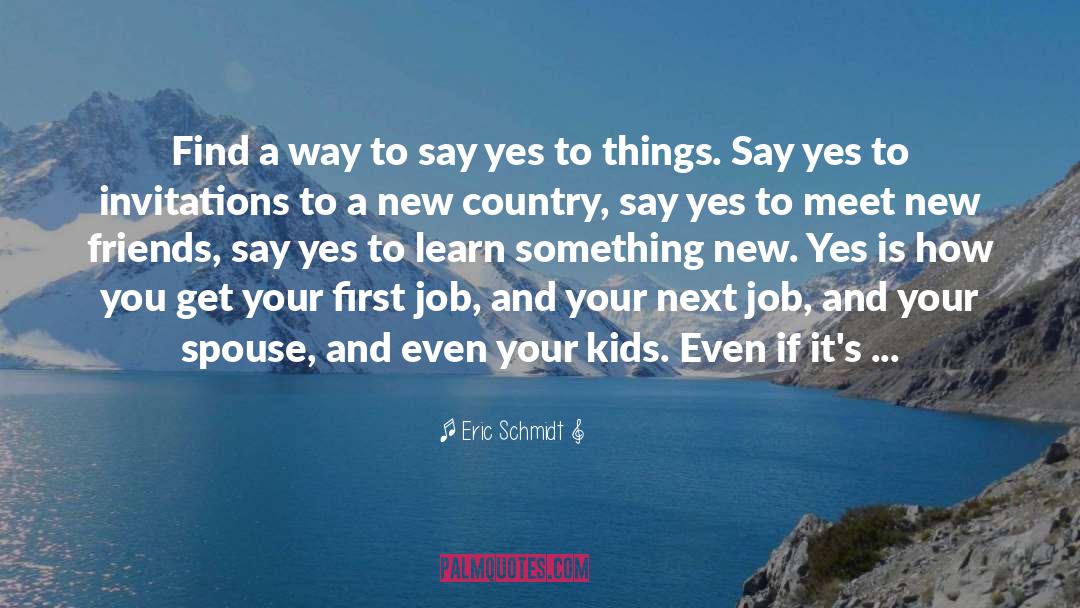 Do Something New quotes by Eric Schmidt