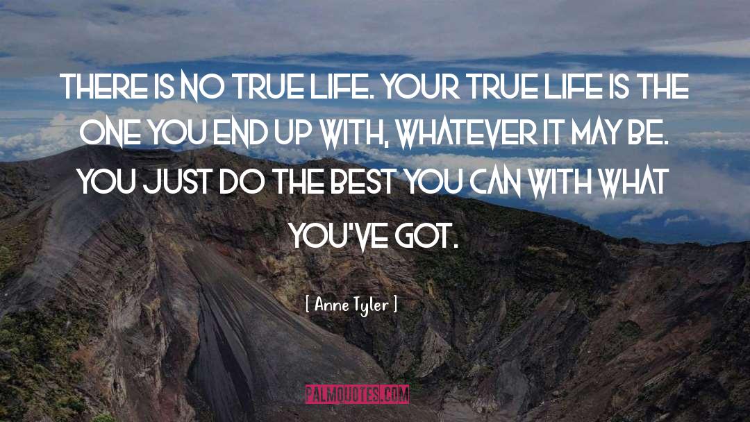 Do The Best quotes by Anne Tyler