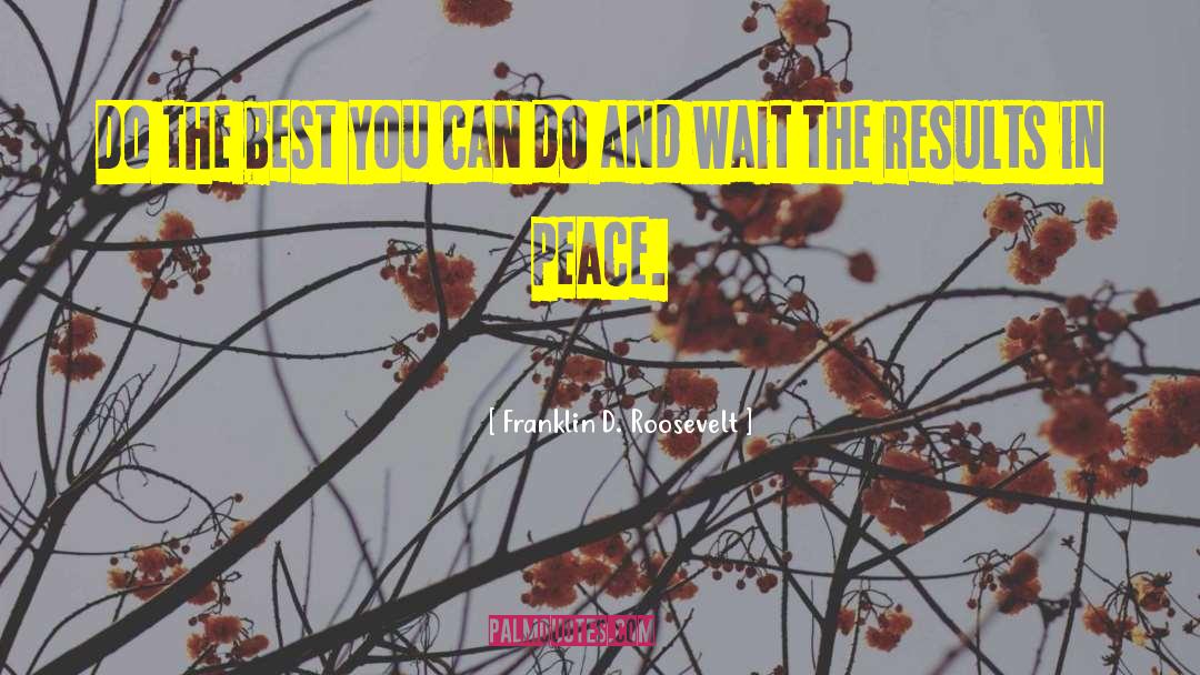 Do The Best You Can quotes by Franklin D. Roosevelt