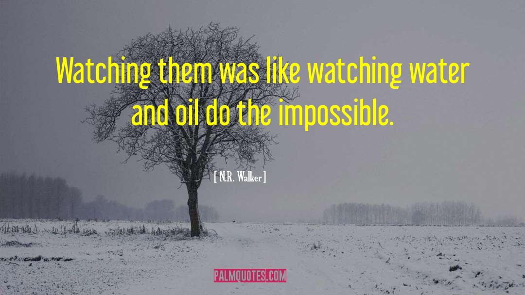 Do The Impossible quotes by N.R. Walker