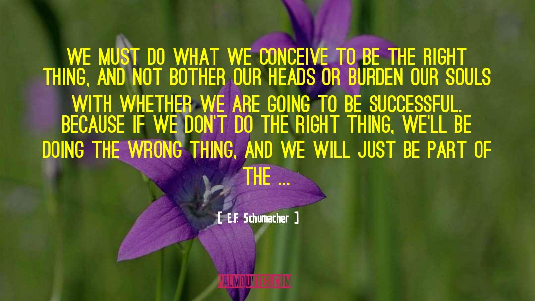 Do The Right Thing quotes by E.F. Schumacher