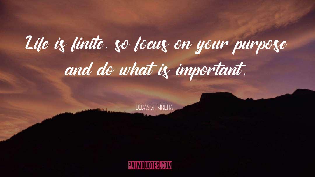 Do What Is Important quotes by Debasish Mridha