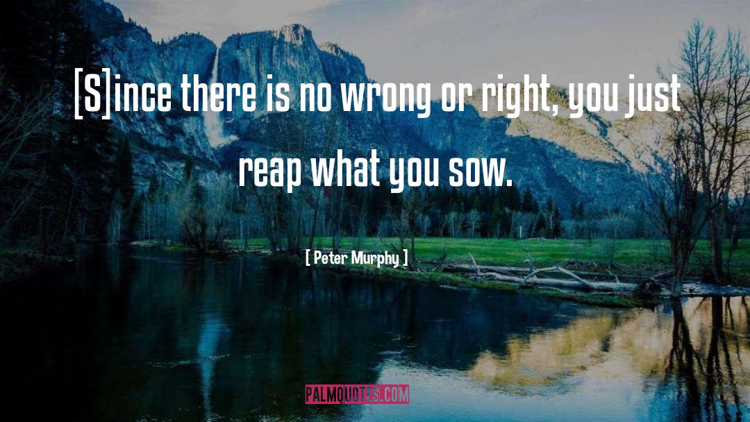 Do What S Right quotes by Peter Murphy